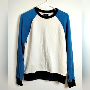 J. Crew Blue and White Crewneck Sweater